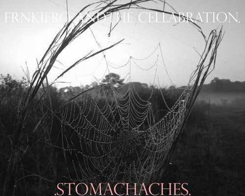 Frank Iero frnkiero andthe cellabration stomachaches album cover