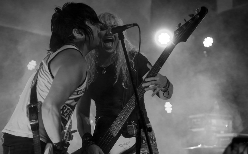 The Dollyrots Duo Live Photo Microphone