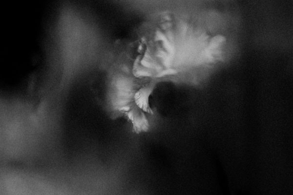 Holding Absence - Holding Absence Album Cover Artwork